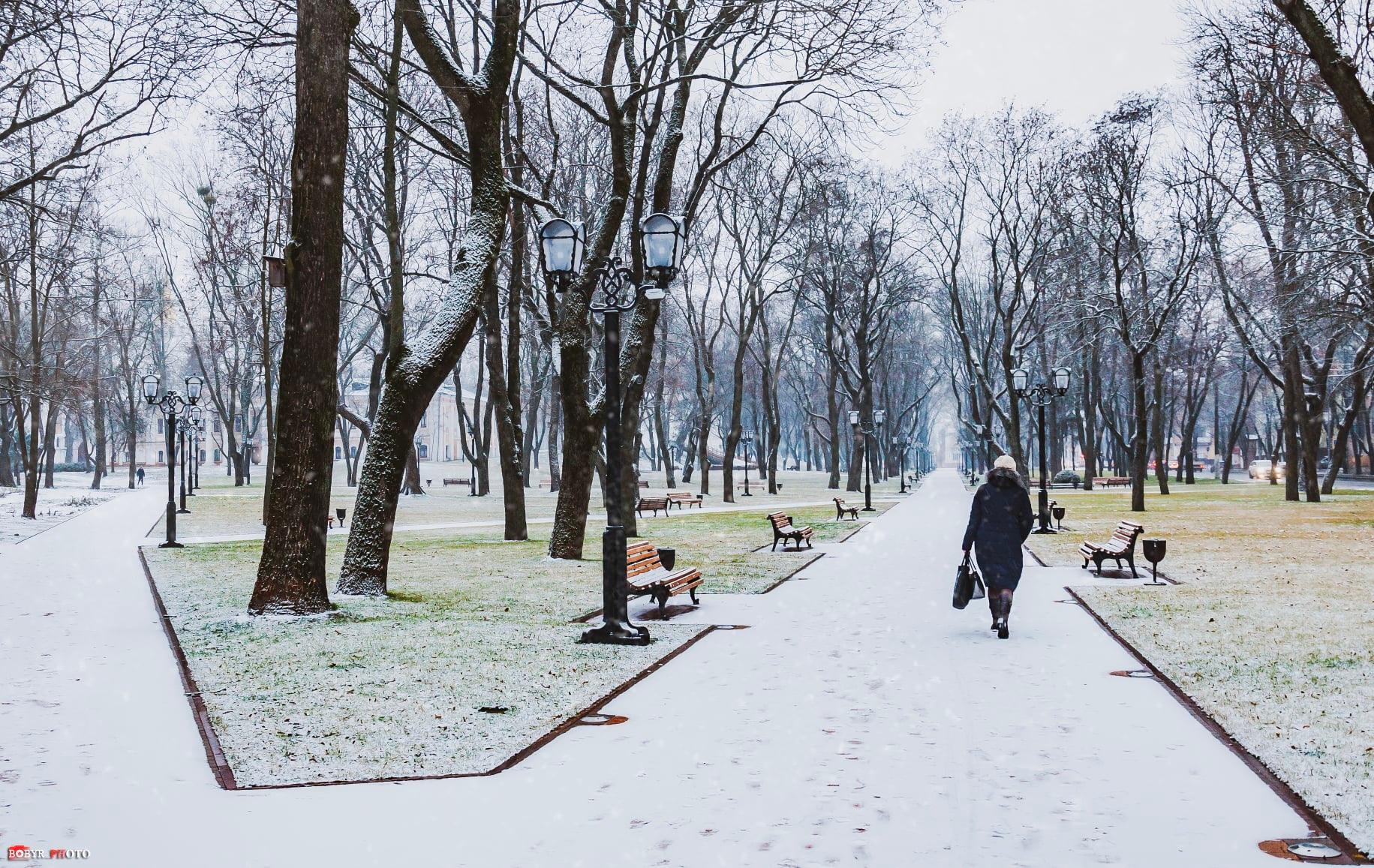 На Чернігівщині у п’ятницю очікується мокрий сніг з дощем