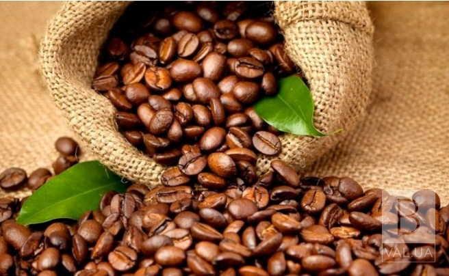 Тонкости выбора самого популярного в мире кофе – арабики