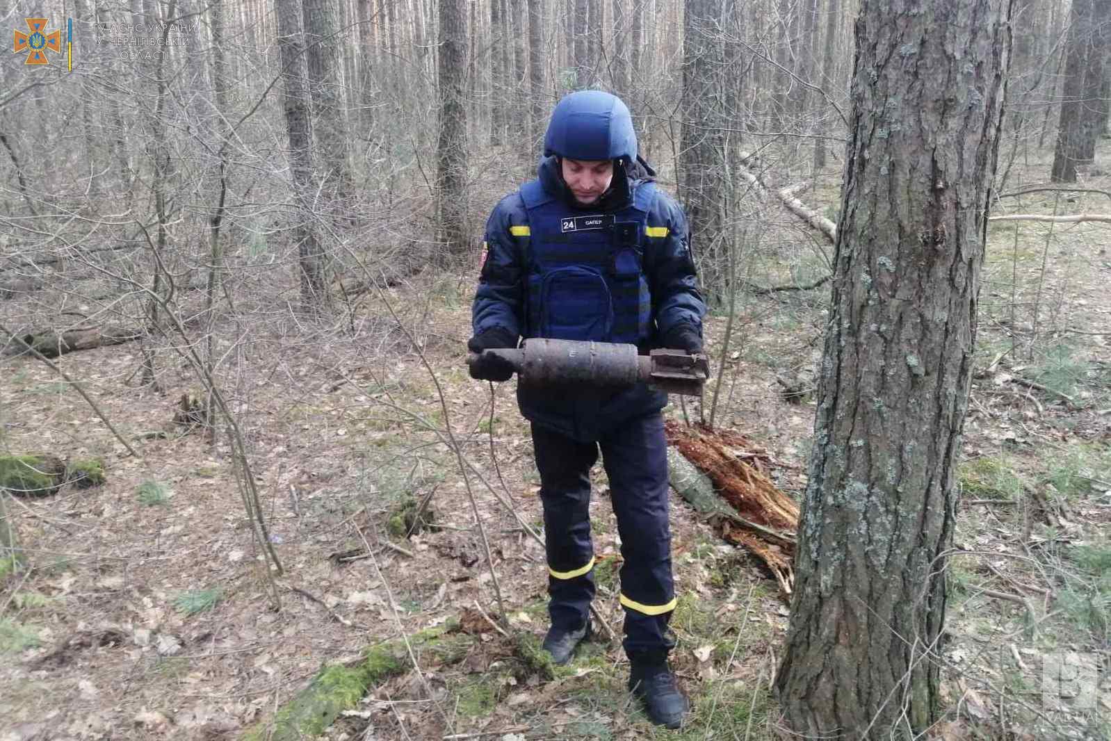 У лісі неподалік Чернігова виявили вибухонебезпечний предмет. ФОТО