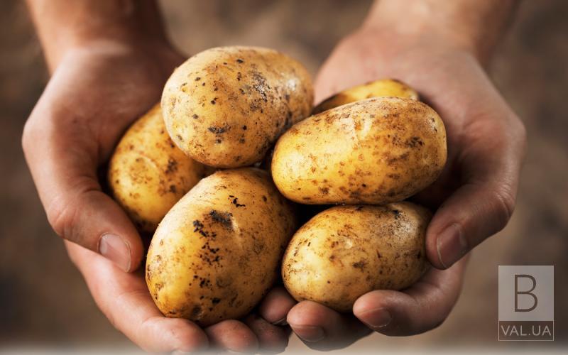 Чи здорожчає картопля цьогоріч на Чернігівщині: прогнози експертів