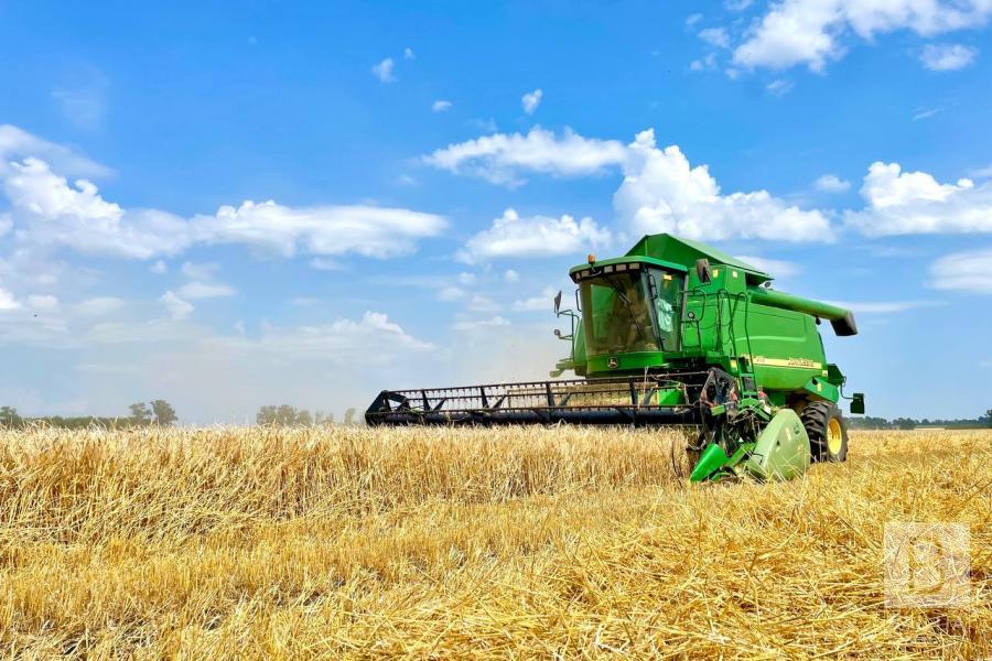 Аграрії намолотили вже понад 210 тисяч тонн зерна: на Чернігівщині тривають жнива