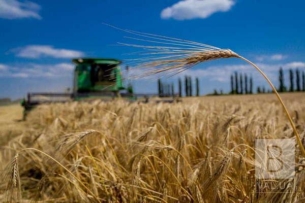 Жнива на Чернігівщині: аграрії намолотили майже 938 тисяч тонн зерна та понад 111 тисяч тонн ріпаку