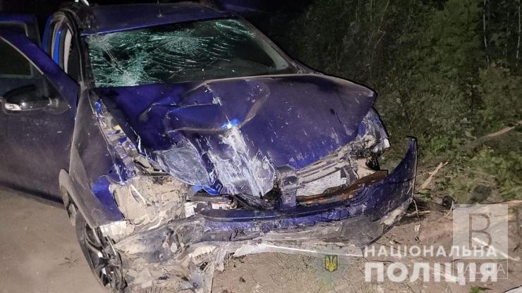 На Чернігівщині поліція затримала водія, який на смерть збив пішохода та втік з місця ДТП
