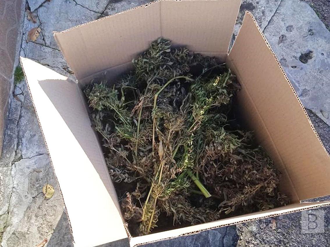 У Новгороді-Сіверському у місцевого мешканця знайшли близько 2 кілограмів конопель. ФОТО