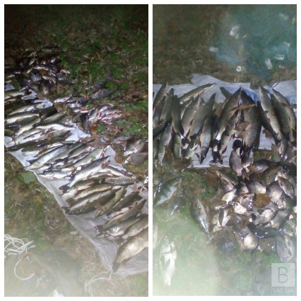 Поблизу Чернігову двоє браконьєрів за допомогою електроструму наловили 35 кілограмів риби