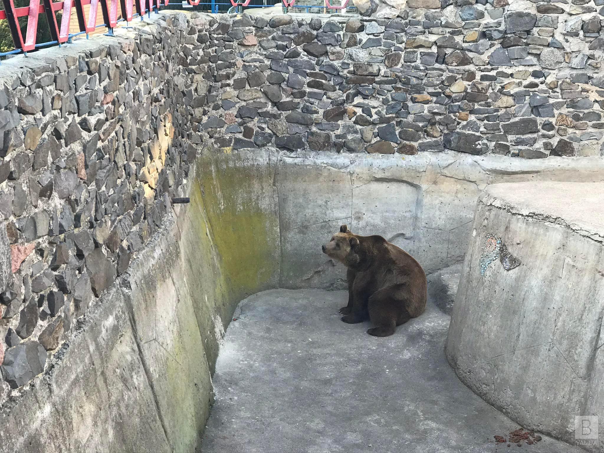 Тваринам буде тепло попри відключення електрики: Менський зоопарк отримав потужний генератор