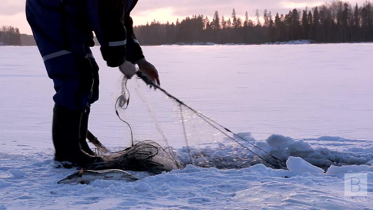 На Чернігівщині судитимуть рибалку, який наловив риби на майже 400 тисяч гривень