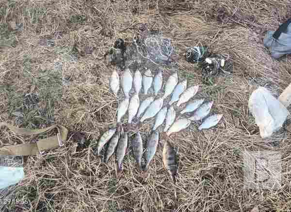 За 2 кілограми риби сплатить майже 50 тисяч гривень: на Чернігівщині спіймали браконьєра