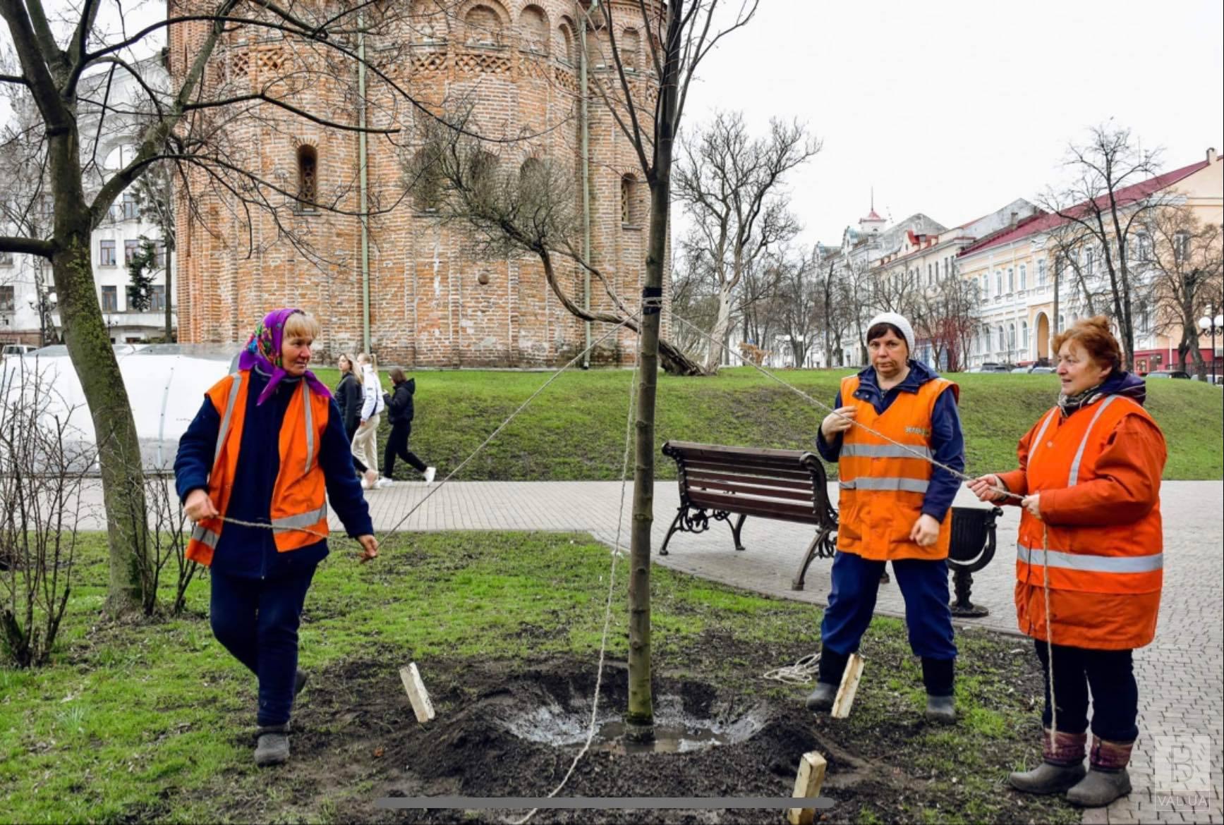 У Чернігові вже висадили 220 дерев. ФОТО