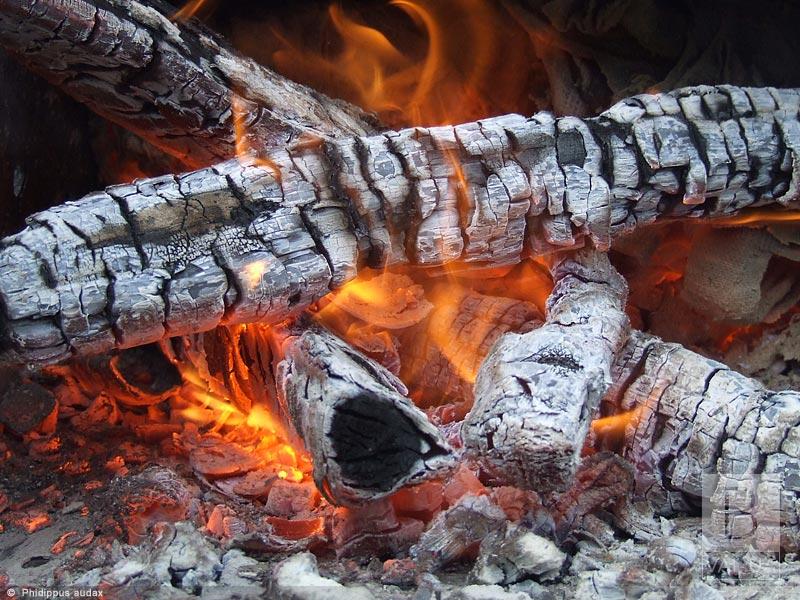Пустощі дітей з вогнем: у Прилуках згоріло 60 кубометрів дров