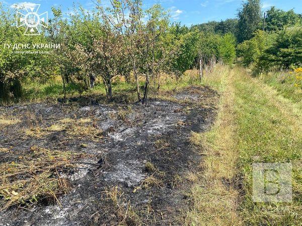 Необережне поводження з вогнем: на Чернігівщині в полі виявили тіло літнього чоловіка. ФОТО