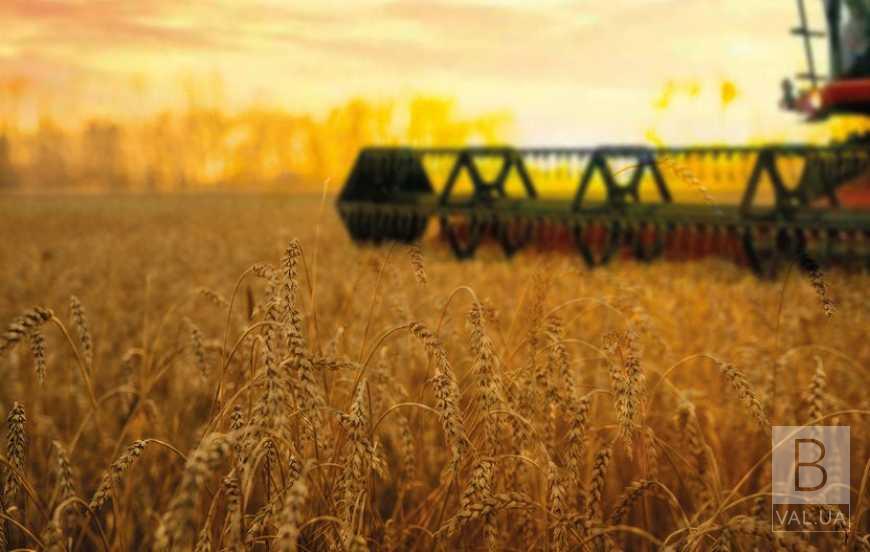 Жнива на Чернігівщині: аграрії зібрали перший мільйон тонн зернових