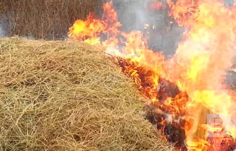 На Корюківщині через пустощі дітей з вогнем згоріла одна тонна грубих кормів