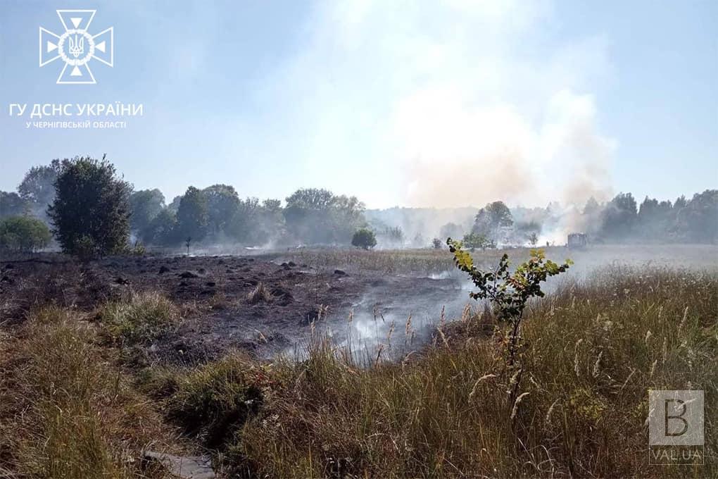 На Чернігівщині чоловік отримав опіки під час пожежі сухої трави