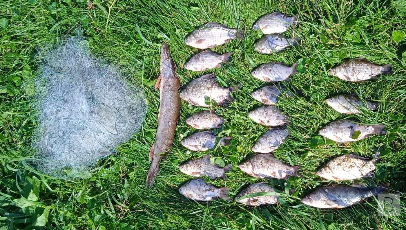 Жителя Чернігівщини оштрафують за незаконну риболовлю на понад 36 тисяч гривень