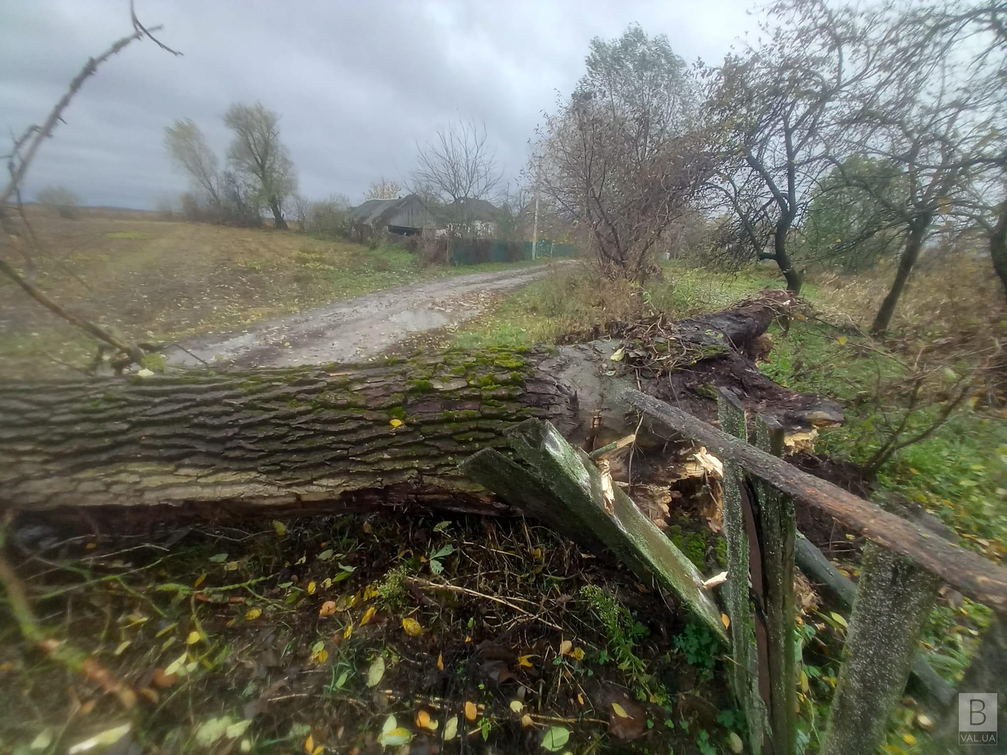 Понад 25 тисяч абонентів Чернігівщини через негоду без електрики