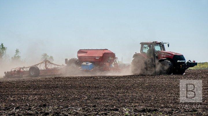 На Чернігівщині аграрії  закінчили посів озимих та продовжують збирати кукурудзу