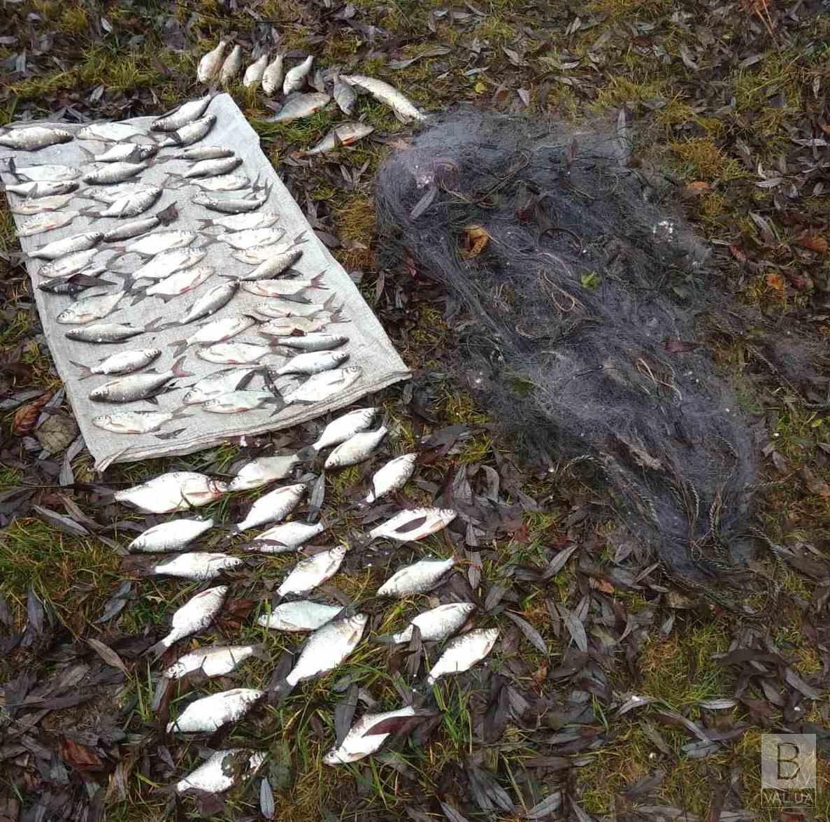 Понад 120 тисяч гривень сплатять браконьєри з Новгород-Сіверщини за незаконну риболовлю 
