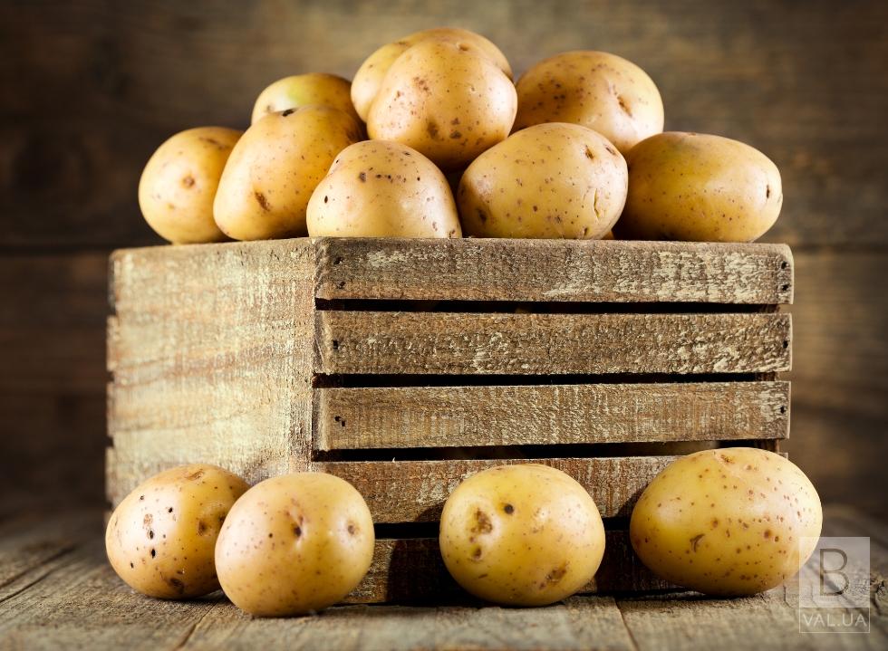 На Чернігівщині за останній тиждень значно подорожчала картопля