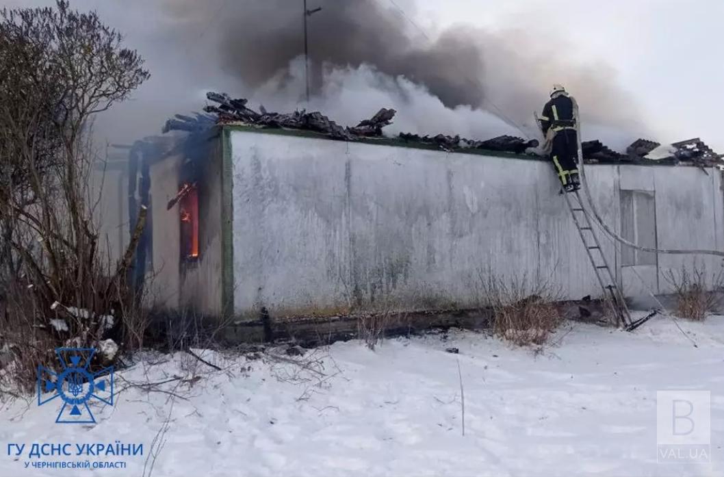 На Чернігівщині протягом минулої доби ліквідували 10 пожеж. ФОТО