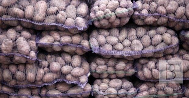 Чому в Україні подорожчала картопля та що буде з цінами через морози: прогноз до весни