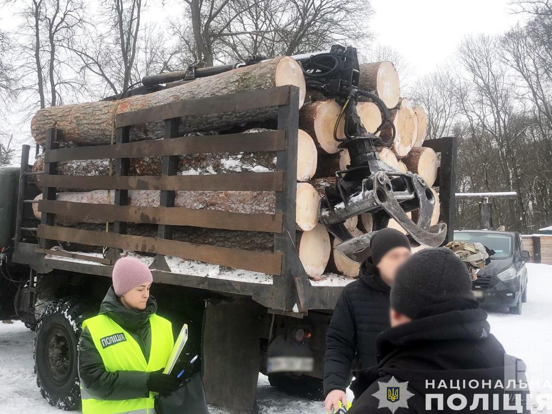 На Чернігівщині викрили «чорних лісорубів», які підозрюються у масштабних порубках деревини на десятки мільйонів гривень