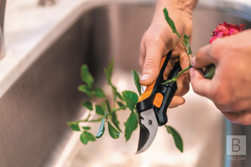 Як Підібрати Ножиці для Квітів: Рекомендації для Садівників