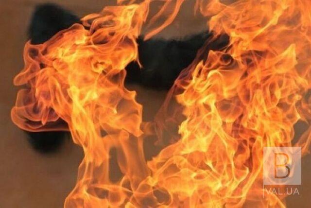 На Прилуччині під час пожежі пенсіонер отримав термічні опіки 70% тіла