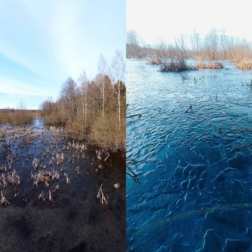 «Поліське море»: на Чернігівщині розлилися болота. ФОТОфакт