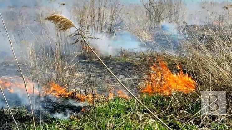 Росіяни скинули запальну суміш з безпілотника в прикордонні Чернігівщини