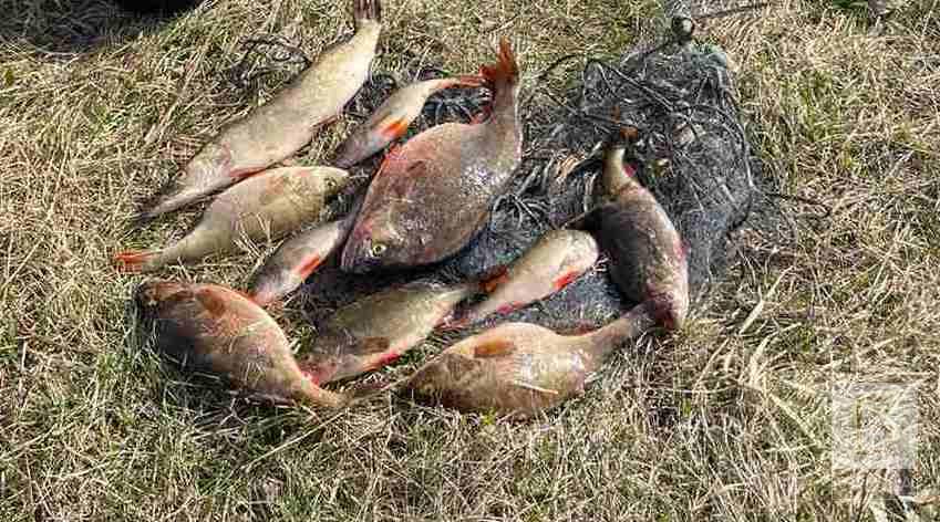 Наловив 10 рибин: на Чернігівщині порушник сплатить понад 31 тисячу гривень