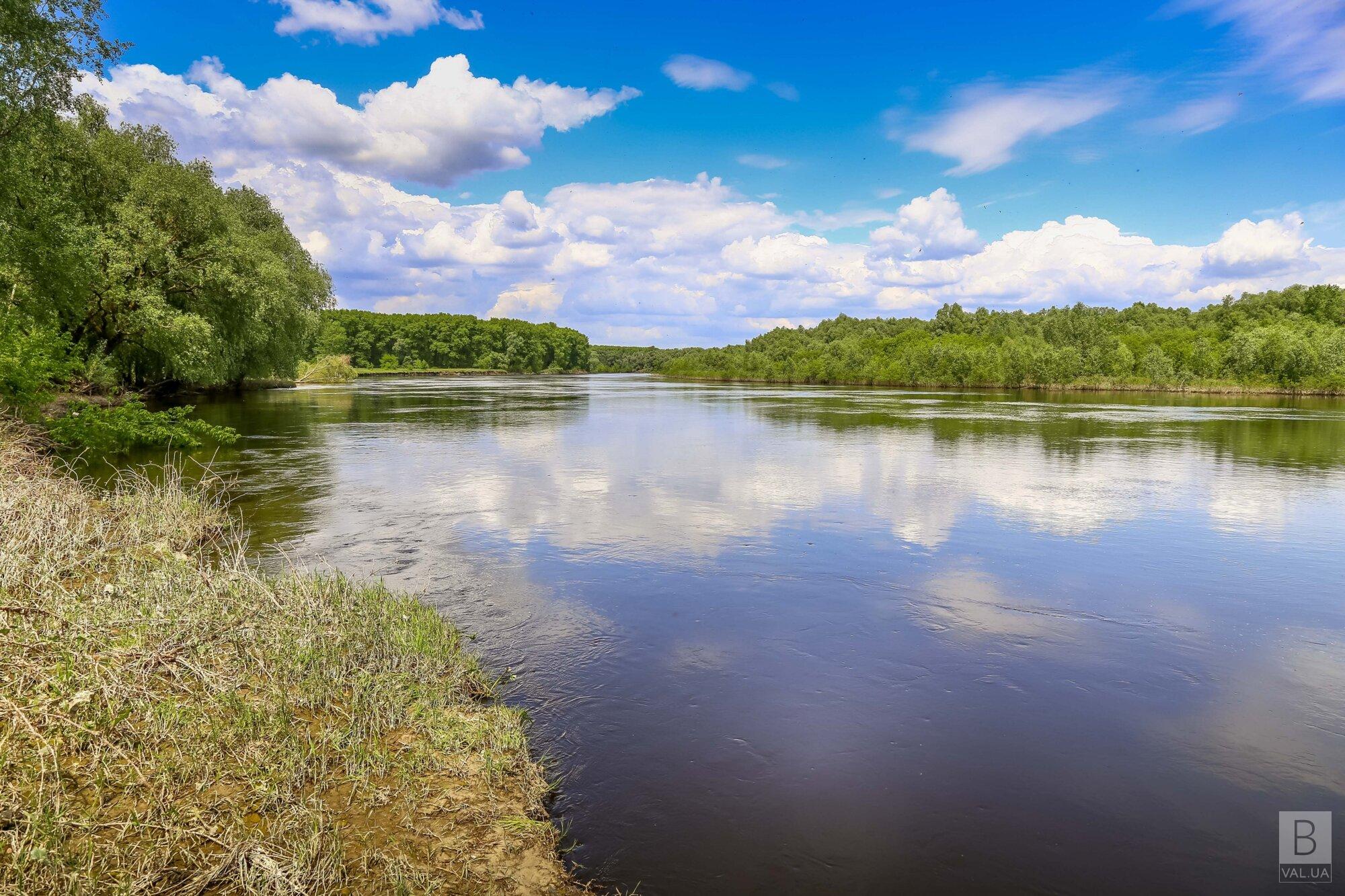 Вода в річках навколо Чернігова не має токсичної дії