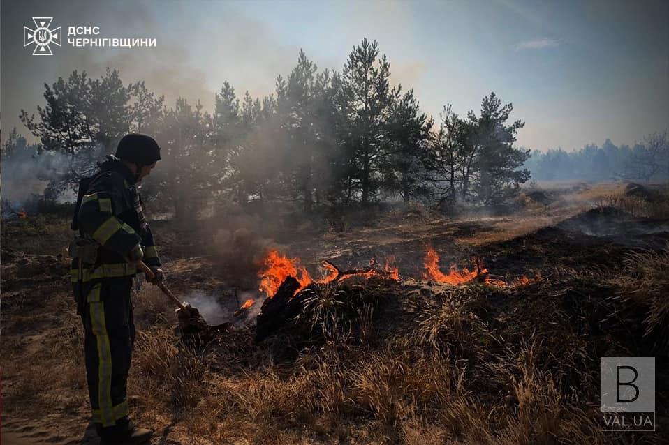 За добу на Чернігівщині вигоріло 100 гектарів землі