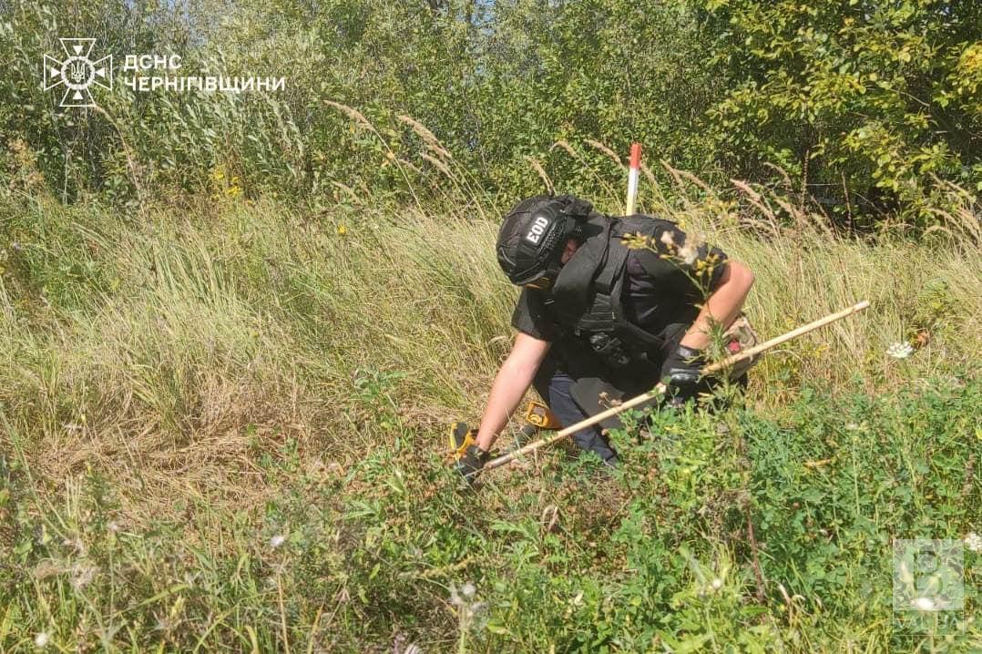 На Чернігівщині сапери вилучили 11 снарядів до «Граду» та 8 протитанкових мін