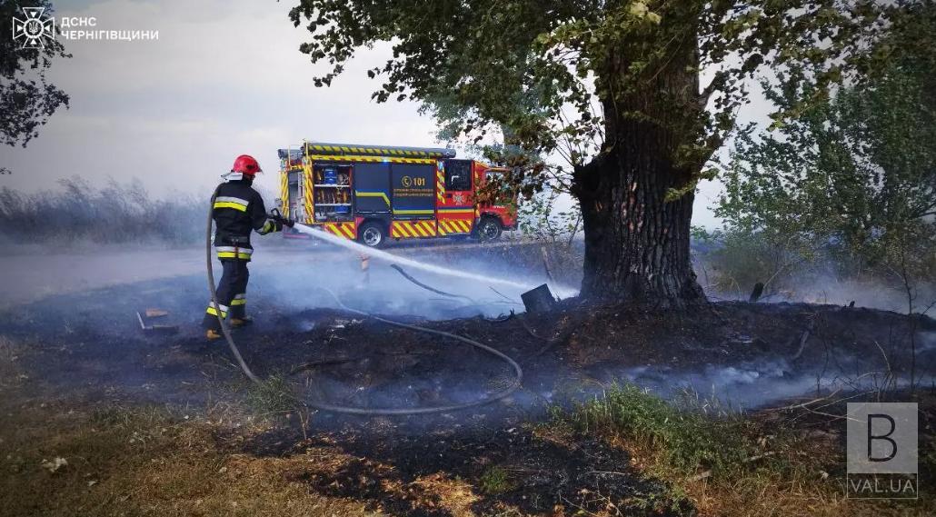 На Чернігівщині за добу вигоріли майже 33 гектари. ФОТО