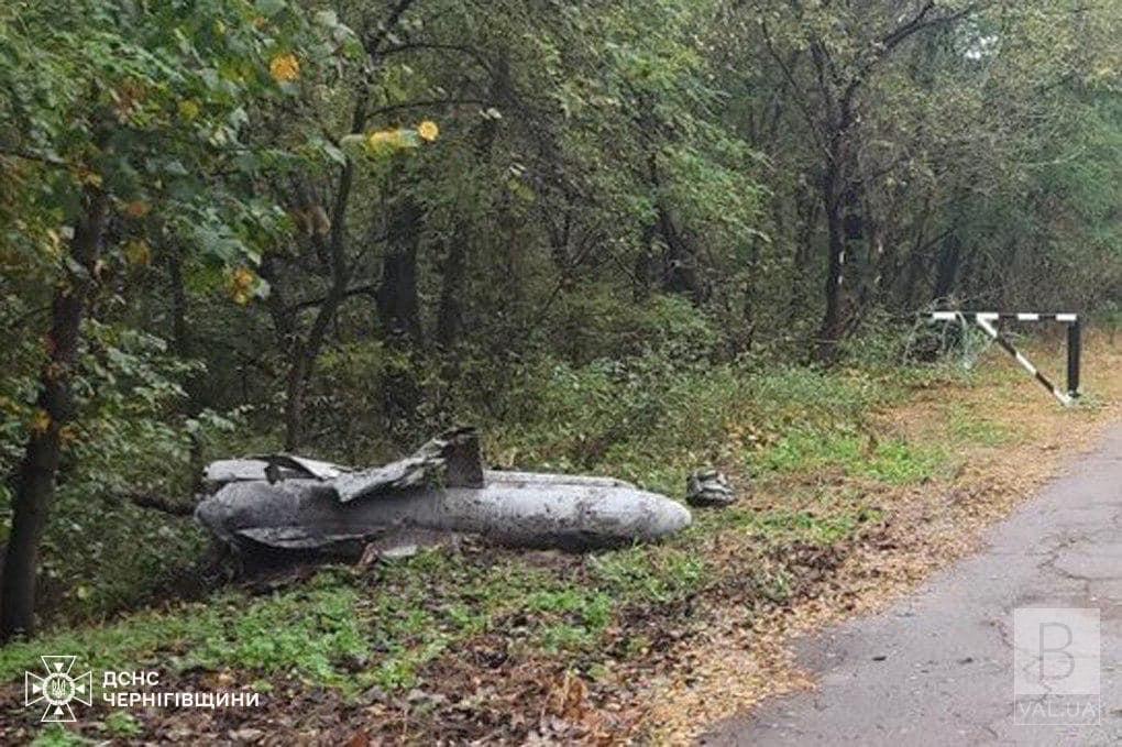 На Чернігівщині знайшли частину керованої авіаційної ракети Х-59. ФОТО