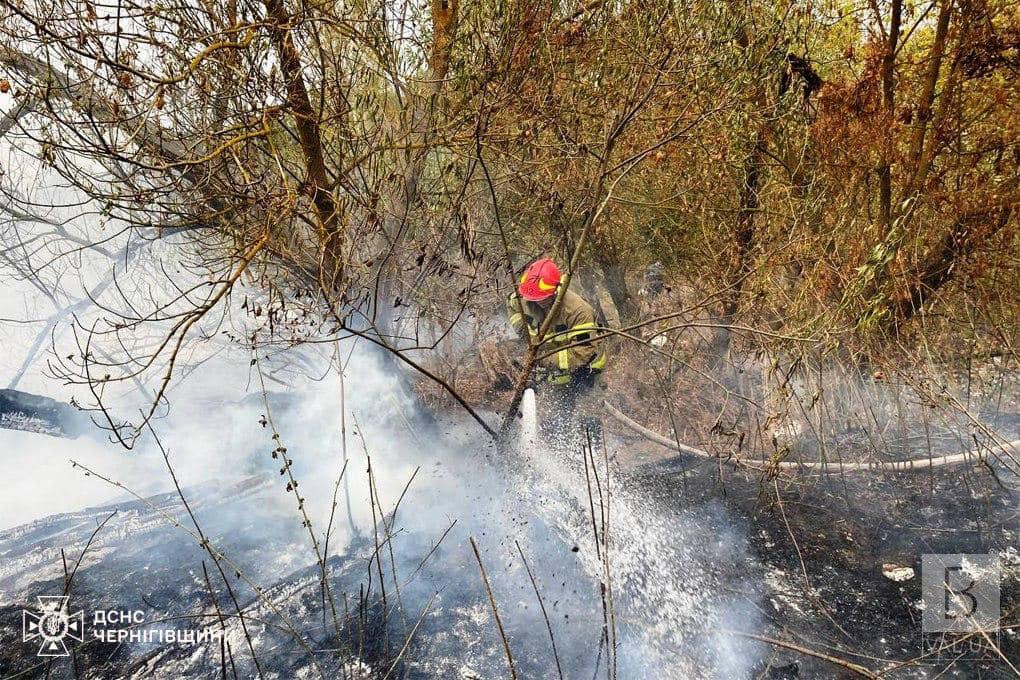 На Чернігівщині досі гасять торфові родовища: тліють майже 73 гектари