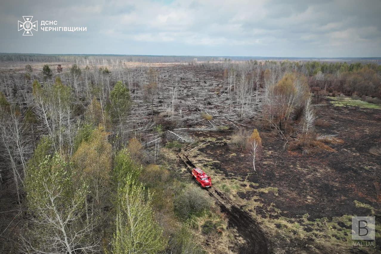 На Чернігівщині майже місяць гасять торф’яну пожежу: залишилось 20 гектарів