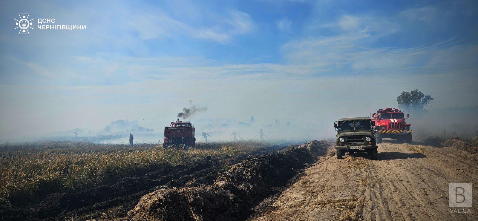 На Чернігівщині ліквідували масштабну торф'яну пожежу, яку гасили місяць