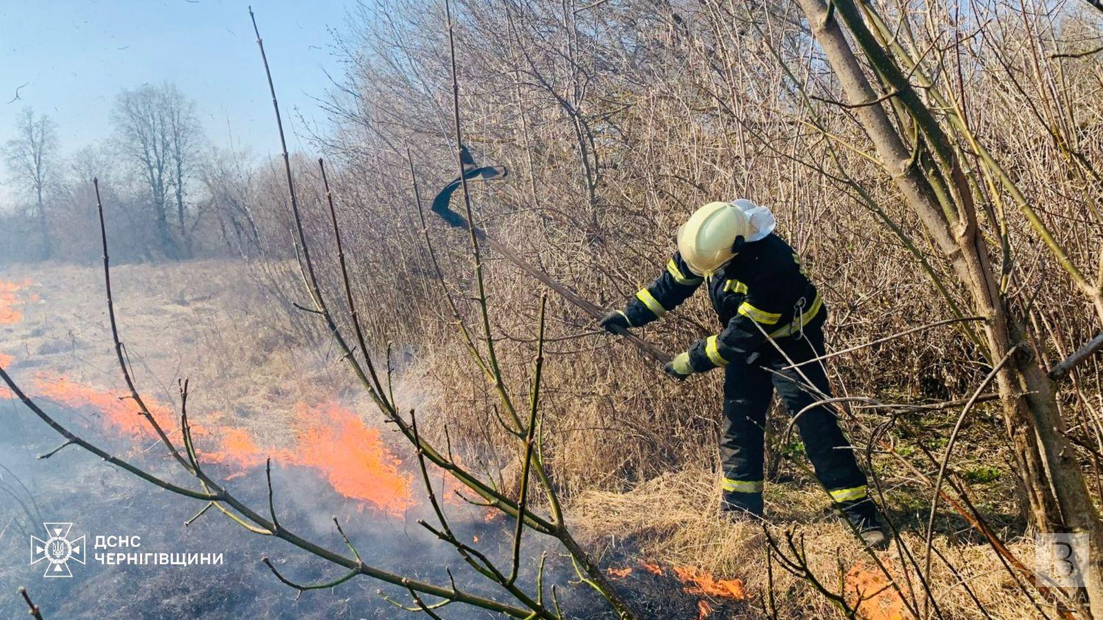 Протягом тижня на Чернігівщині сталося 222 пожежі, внаслідок яких загинули 5 людей