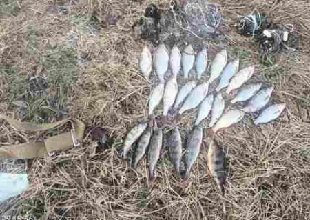 За 2 кілограми риби сплатить майже 50 тисяч гривень: на Чернігівщині спіймали браконьєра