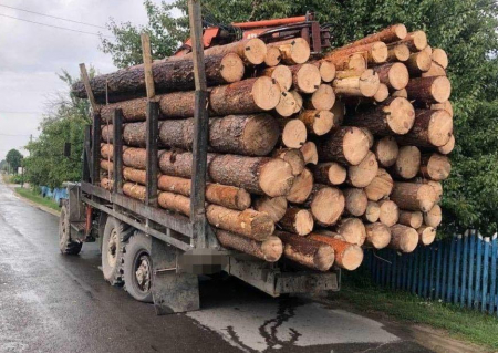 На Корюківщині чоловік загинув під вантажівкою, завантаженою лісом