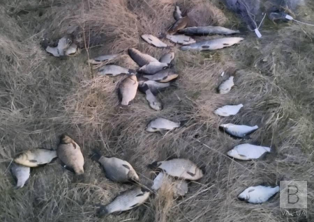 На Чернігівщині викрили рибалку з Хмельниччини, який під час нересту наловив 31 рибину на майже 50 тисяч гривень