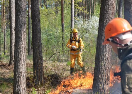 На Чернігівщині провели найбільший в Україні контрольований відпал лісової підстилки