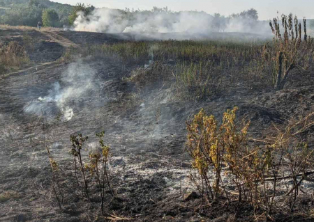  Через обстріли загорілося 15 будинків у селі прикордонної Семенівської громади 