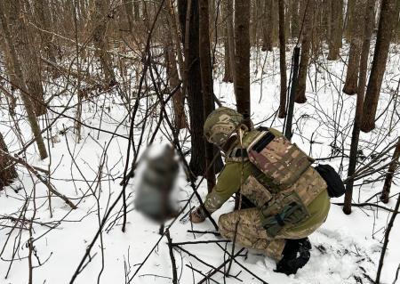 На Чернігівщині вибухотехніки знешкодили бойову частину збитого БпЛА в лісі