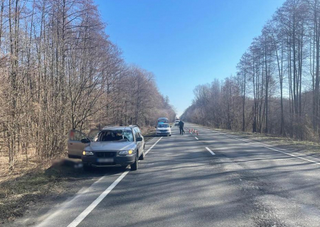 Косуля раптово вибігла на дорогу: на Чернігівщині у ДТП загинула людина, ще двоє – травмовані